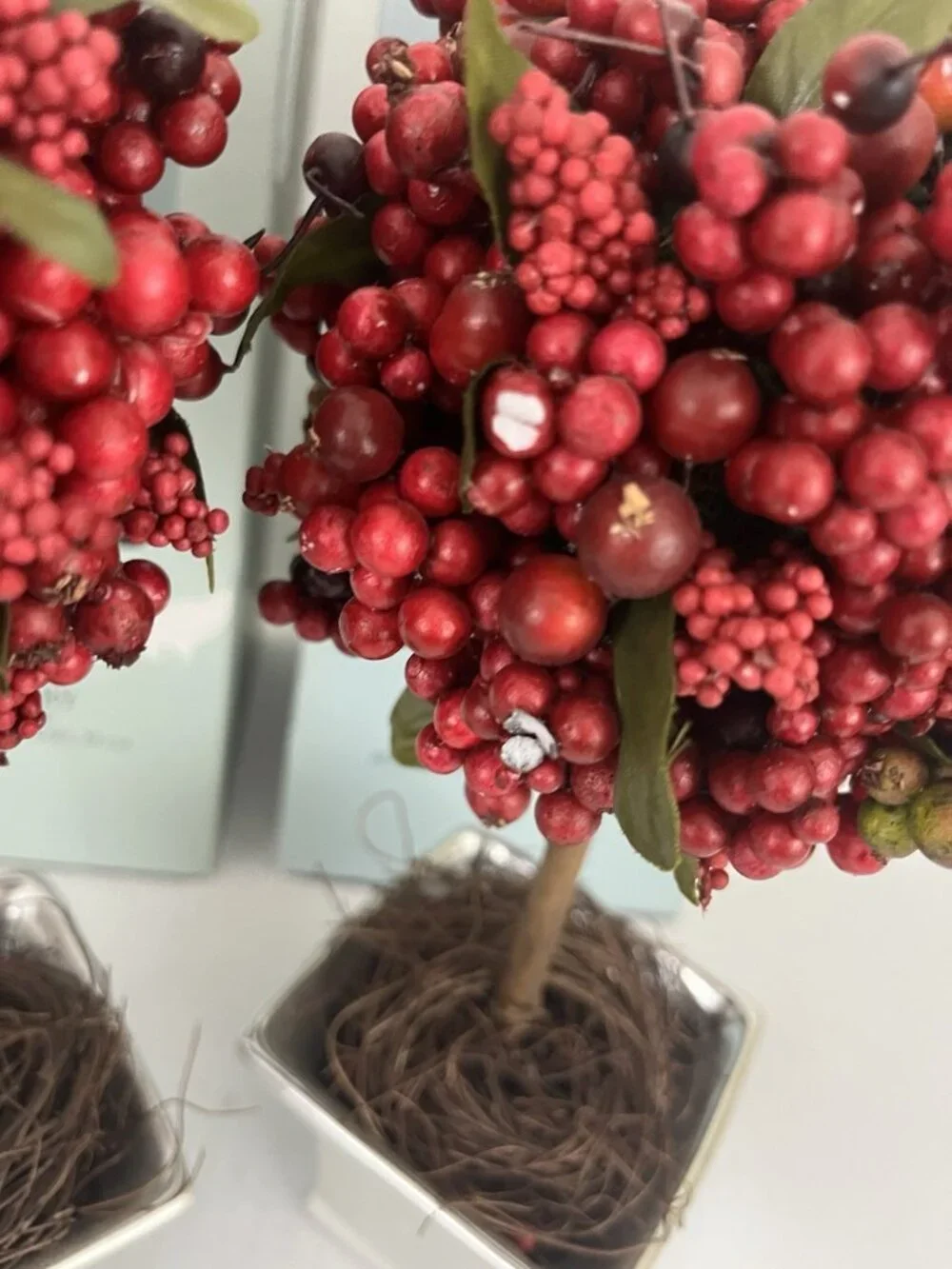 Restoration Hardware Winterberry 12